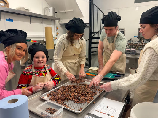 Family Workshop(Adult price)